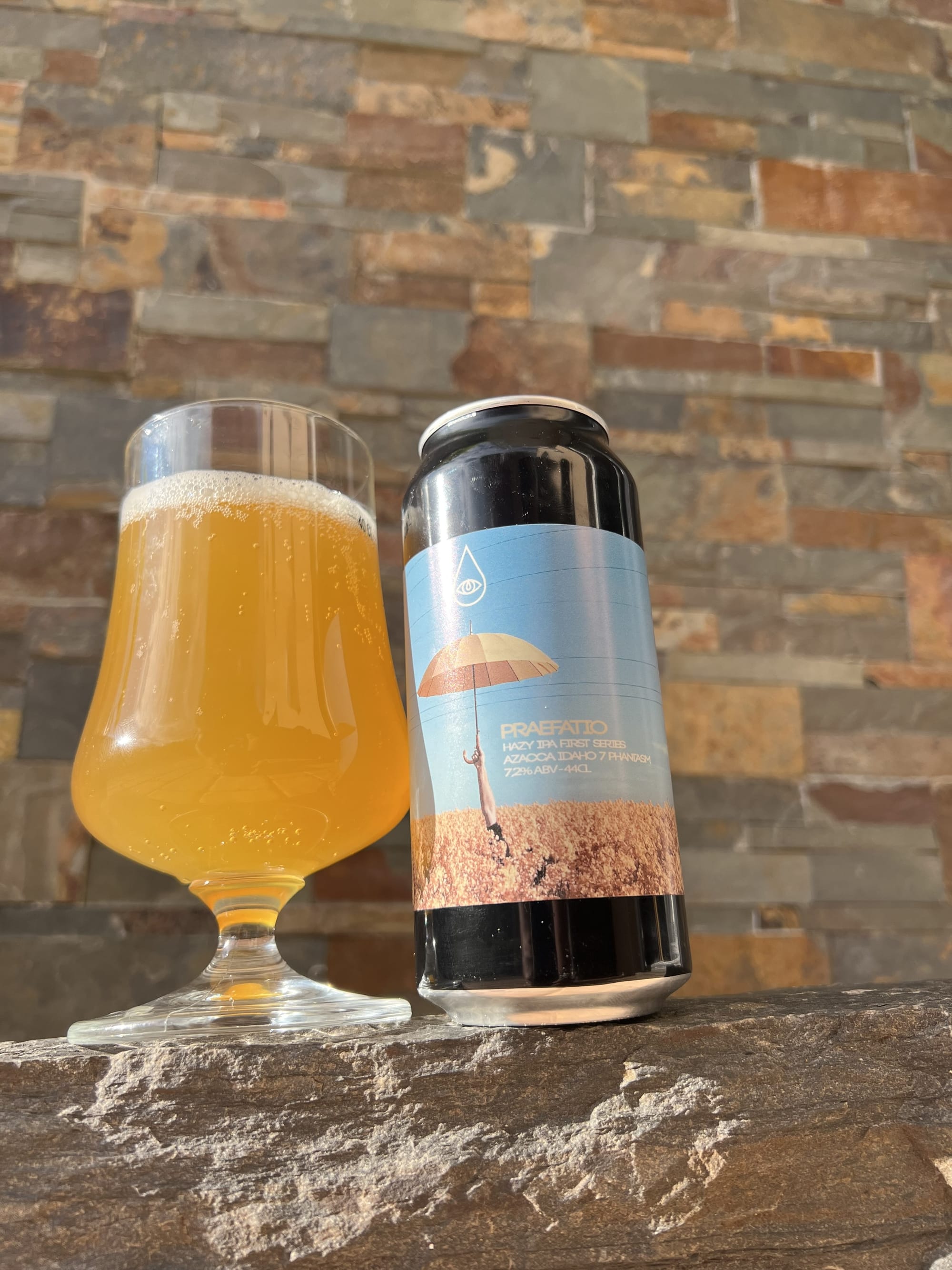 Zoom sur la PRAEFATIO