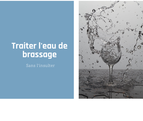 Zoom sur la PRAEFATIO